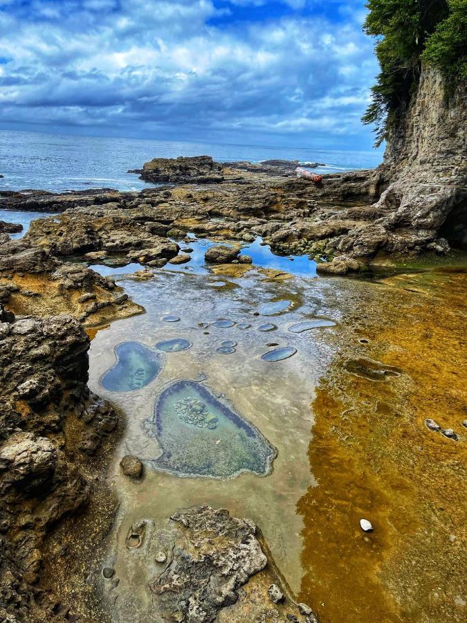 Port Renfrew Oceanfront Retreat 빌라 외부 사진